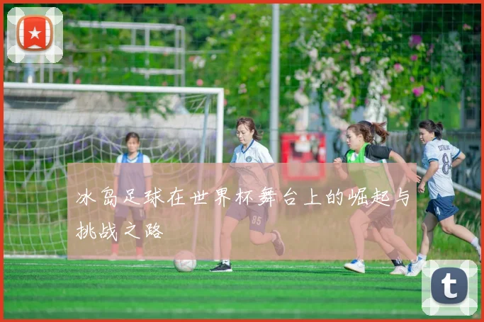 冰岛足球在世界杯舞台上的崛起与挑战之路