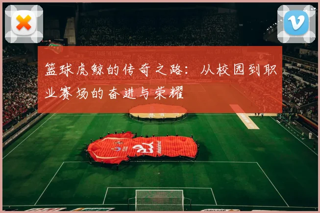 篮球虎鲸的传奇之路：从校园到职业赛场的奋进与荣耀