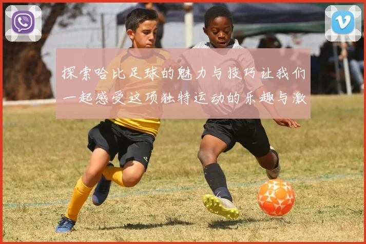 探索哈比足球的魅力与技巧让我们一起感受这项独特运动的乐趣与激情