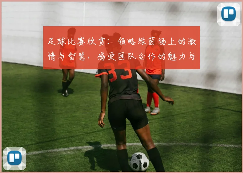 足球比赛欣赏：领略绿茵场上的激情与智慧，感受团队合作的魅力与运动的美感