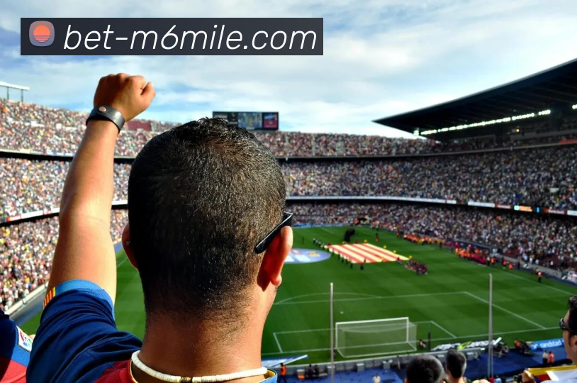 魅力足球：激情与梦想交织的绿茵传奇之旅